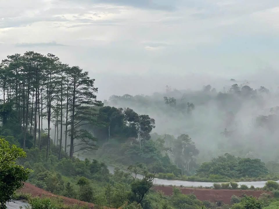 Đất liền kề 728m² Võ Thị Sáu, Măng Đen - Cơ hội đầu tư tuyệt vời!