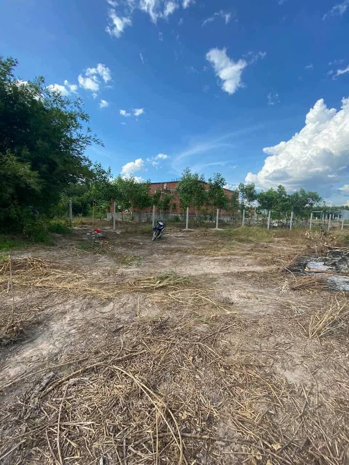 Đất nền 640m² tại ấp Tân Đông, Tân Lập, 6.49 tỷ - Đầu tư sinh lời ngay!