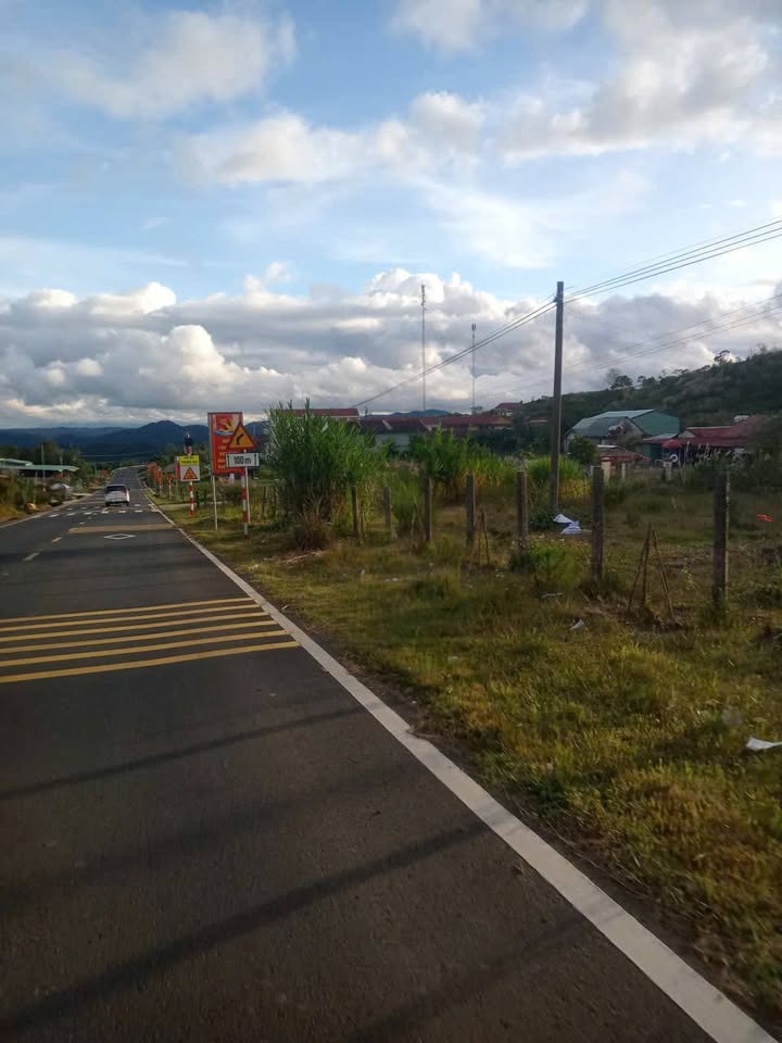 Bán đất Măng Đen, Kon Plông 5.500m² - Thế đất đẹp, phù hợp nghỉ dưỡng