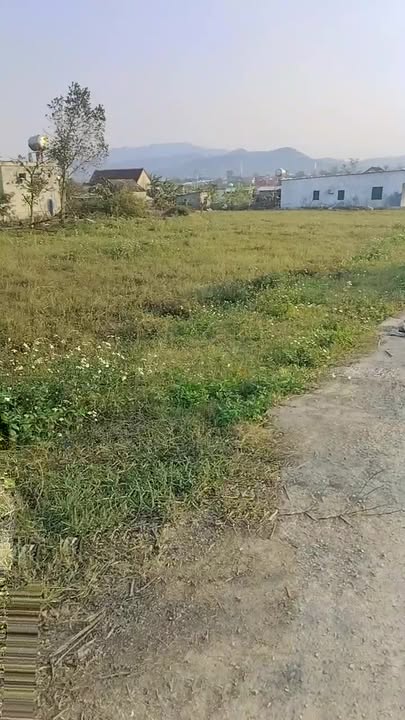 Đất nền Lối 2, đường nhựa liên huyện Huyện Nghi Lộc 160m² giá 500 triệu - Cơ hội đầu tư tuyệt vời!