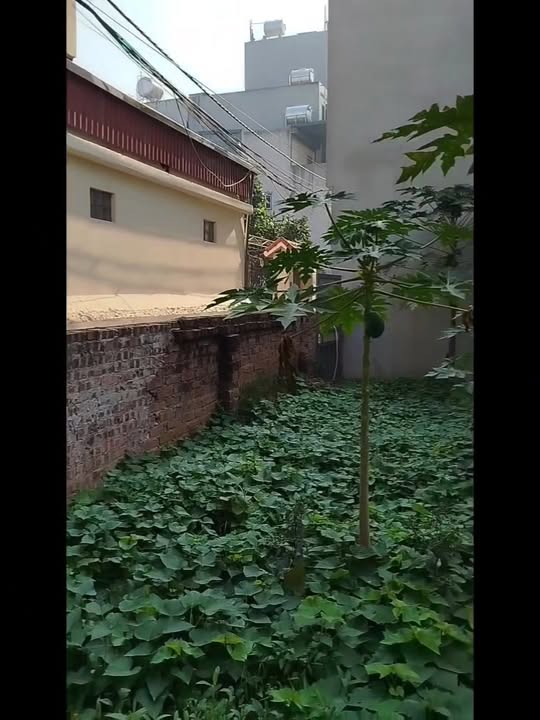 Đất Liên Mạc, Bắc Từ Liêm 40m² giá 5.2 tỷ - Tiềm năng tăng giá rõ ràng!