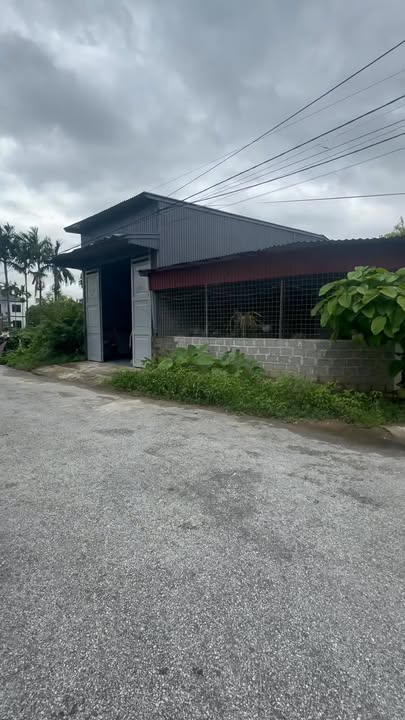 Đất nền Kinh Xuyên, Tân Dân, An Lão 200m² - Bán gấp giá tốt!