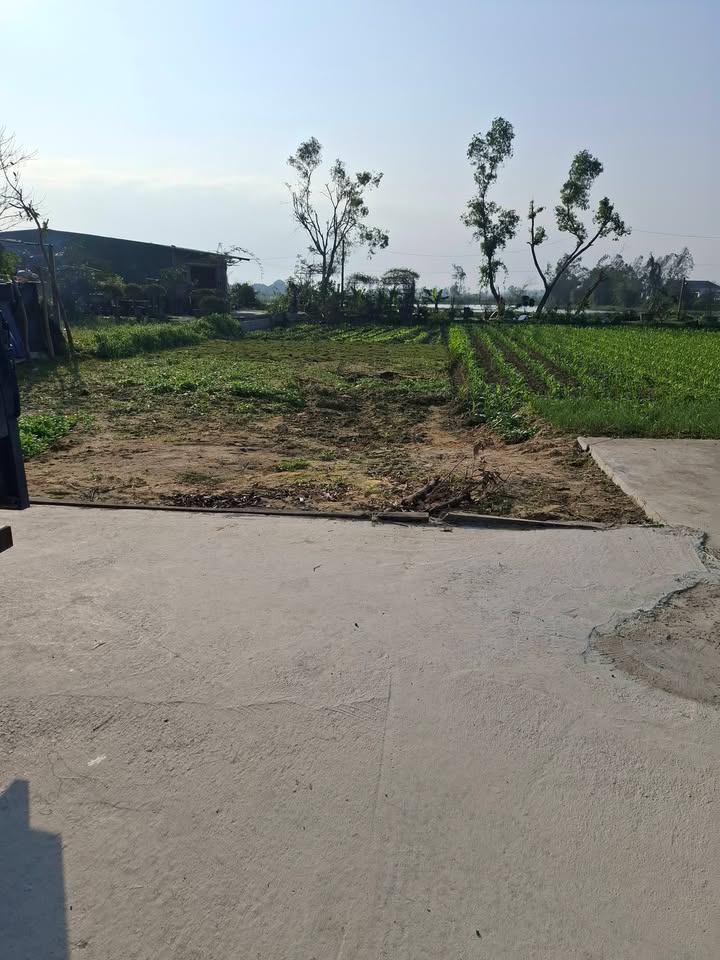 Đất nền Nghi Thạch 124m² giá 1 tỷ - Chính chủ cần bán gấp!