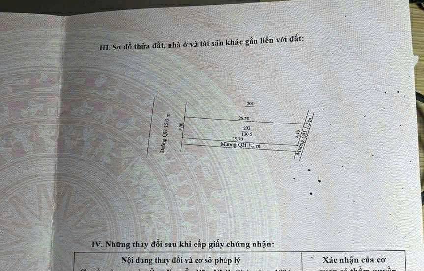 Đất đấu giá tại Chợ Nông Lâm Bắc Giang 130m² giá 2.6 tỷ - Cơ hội đầu tư hấp dẫn!
