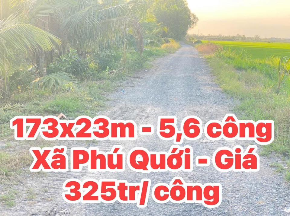 Đất nông nghiệp Phú Quới Vĩnh Long 5591m² giá 18.17 tỷ - Phù hợp làm trang trại hoặc xây nhà