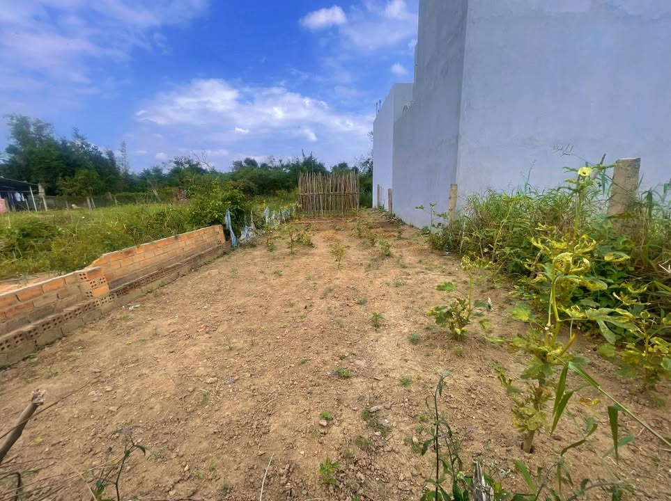 Đất ở Hòa An, Huyện Phú Hòa, 93m² chỉ 600 triệu - Cơ hội đầu tư hấp dẫn!