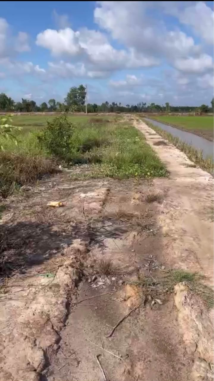 Đất nền Xã Hiệp Hòa 4400m² giá 880 triệu - Cơ hội đầu tư hấp dẫn!