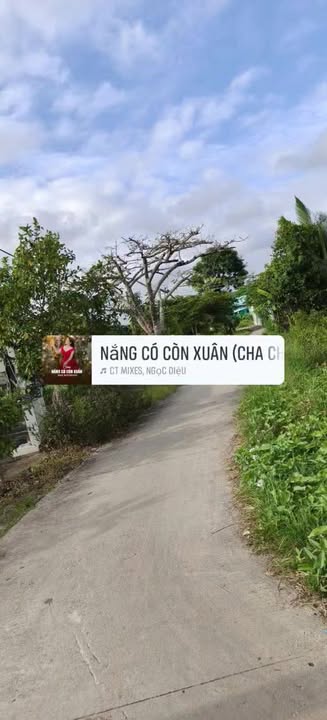 Đất nền hẻm Mỹ Hảo, Phường 5, Bạc Liêu 490m² giá 910 triệu - Thương lượng chính chủ!