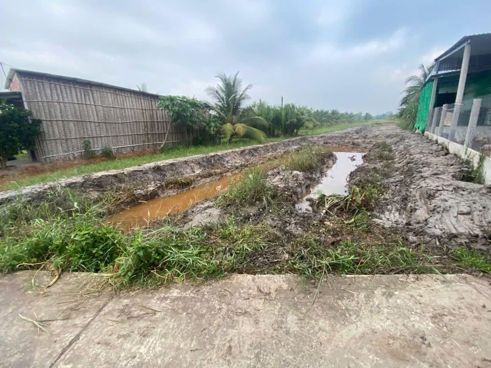 Đất nền tại xã An Ngãi Trung, huyện Ba Tri, 900m² - Giá chỉ 430 triệu VND!