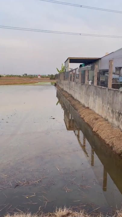 Đất nền 600m² đường lớn Phường Chợ Lớn – Sổ hồng chính chủ, giá chỉ 2,3 tỷ!