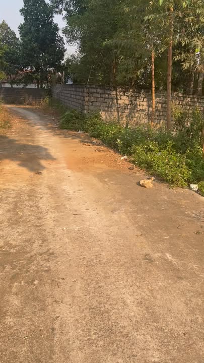 Đất nền 180m² tại Thị trấn Cao Thượng giá chỉ 700 triệu - Đầu tư sinh lời ngay!