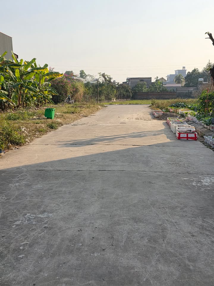 Đất nền TDP Tự, Việt Yên 130m² giá 2.6 tỷ - Cơ hội đầu tư hấp dẫn!