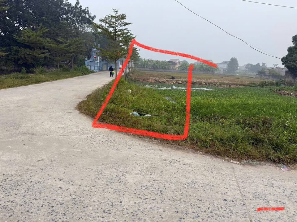 Đất nền thôn Đoan Bái, Hiệp Hòa 116m² - Lô góc 2 mặt tiền kinh doanh thuận lợi!