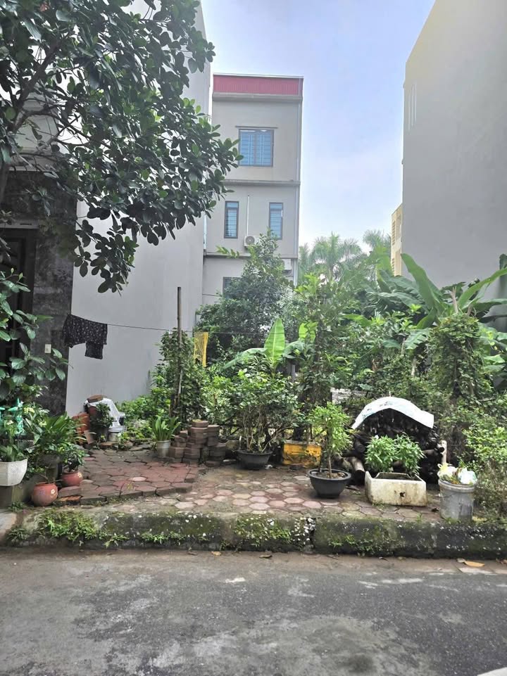 Đất nền phố Đặng Trần Côn, Hải Dương 63m² giá 3.3 tỷ - Vị trí đẹp, không lỗi!