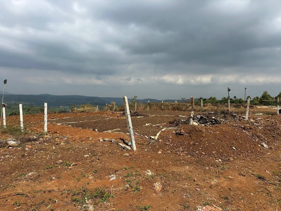 Đất nền trung tâm Thị trấn Đắk Mil 1600m² giá 1.2 tỷ - Cơ hội đầu tư tốt!