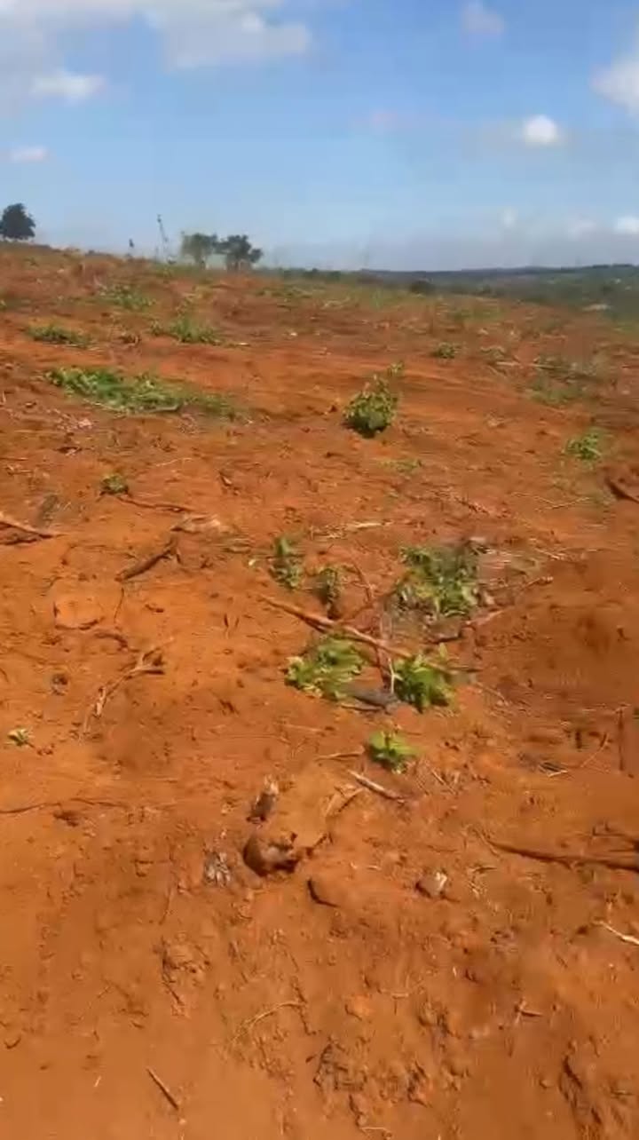 Đất nền 3ha tại xã Nâm N'Jang, Đắk Song - Sổ đỏ chính chủ, giá thỏa thuận!