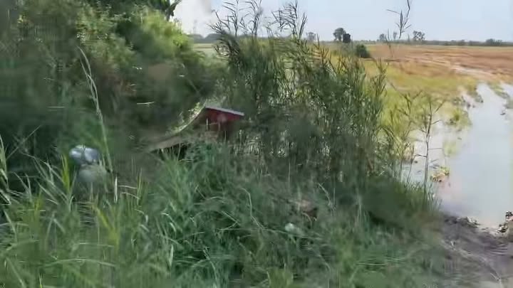 Bán đất nông nghiệp xã Thạnh Phước, huyện Thạnh Hóa, 40.000m² giá 4,4 tỷ - Cơ hội đầu tư hấp dẫn!