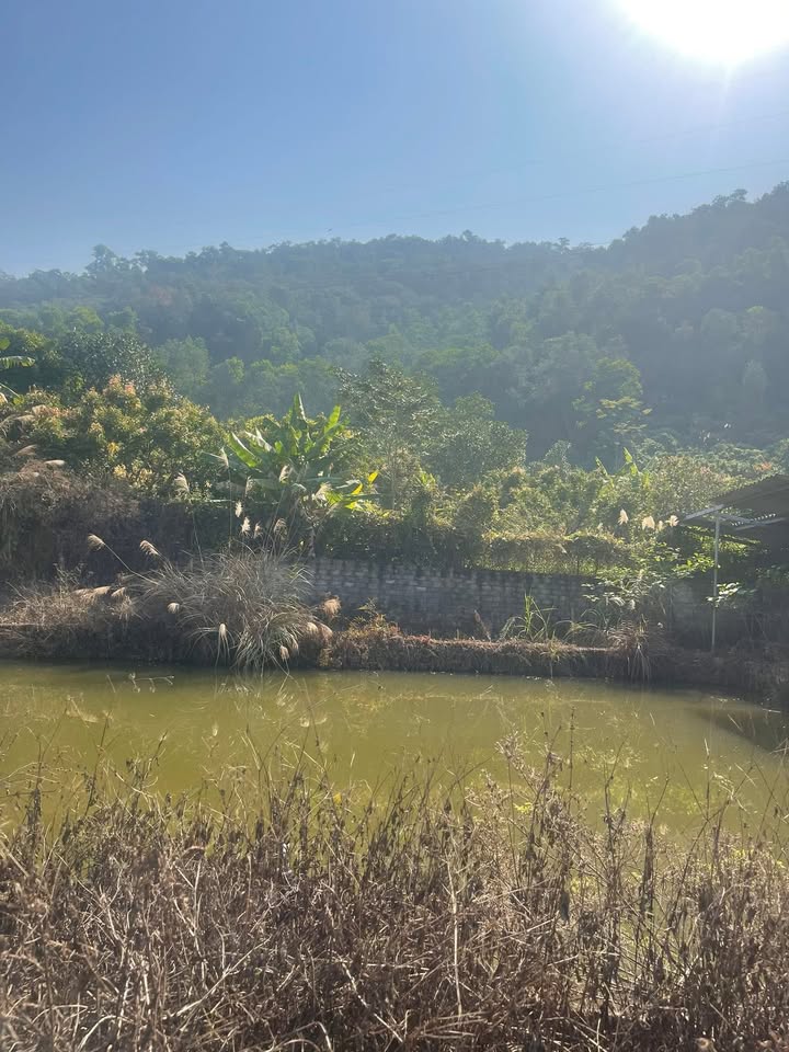 Đất nghỉ dưỡng Hưng Đạo - TP Hải Phòng 1371m² giá 3.2 tỷ - Thiên đường yên bình giữa phố xá!