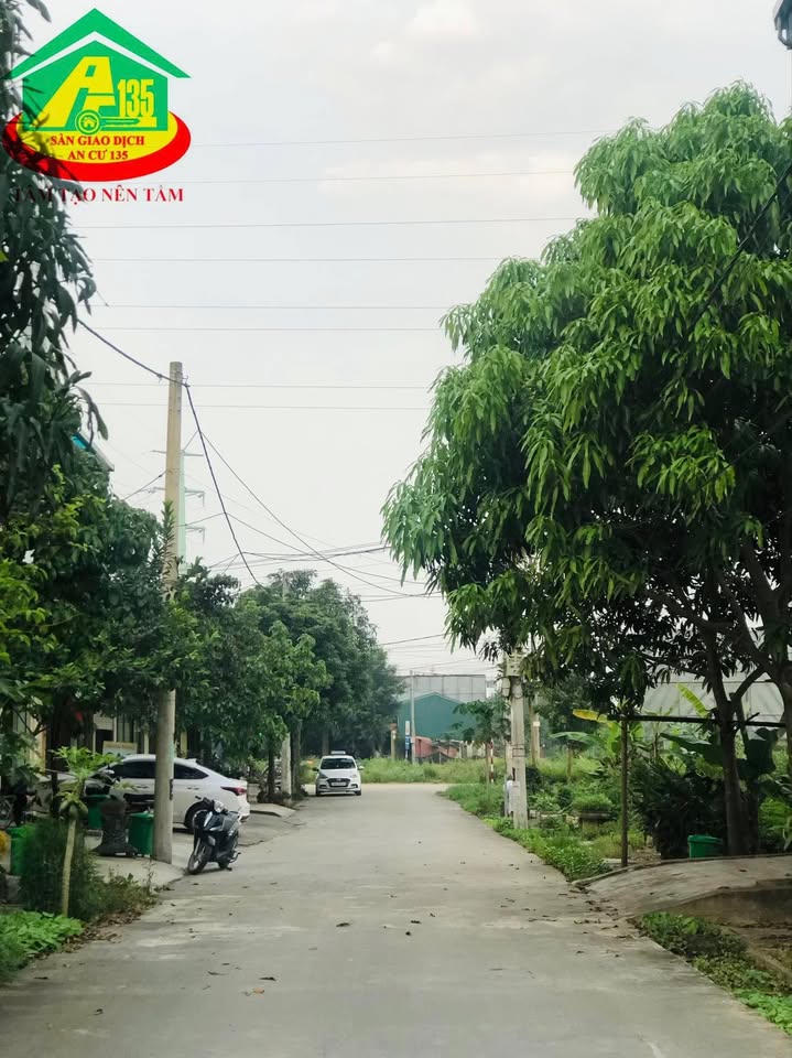 Bán đất Khu cánh đồng Dù Ninh Nhất 93.5m² giá 5 tỷ - Đầu tư sinh lời ngay!