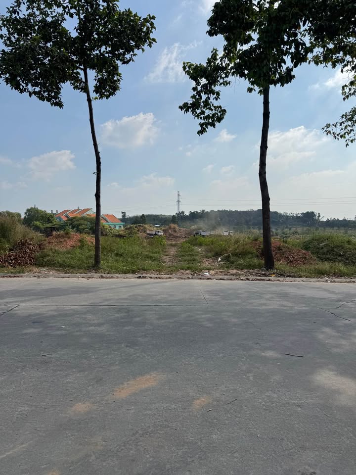 Phòng trọ cho thuê tại Mỹ Phước 1, 600m² - Đối diện chợ, thu nhập ổn định!