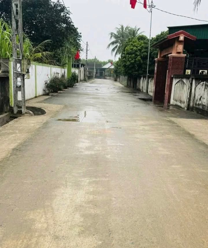 Đất nền xã Thanh Liên, huyện Thanh Chương 145m² - Vị trí đẹp, đầu tư sinh lời!