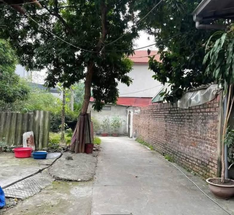 Đất nền chính chủ tại Phường Thanh Miếu, Việt Trì 70m² giá 1 tỷ - Cơ hội đầu tư tuyệt vời!