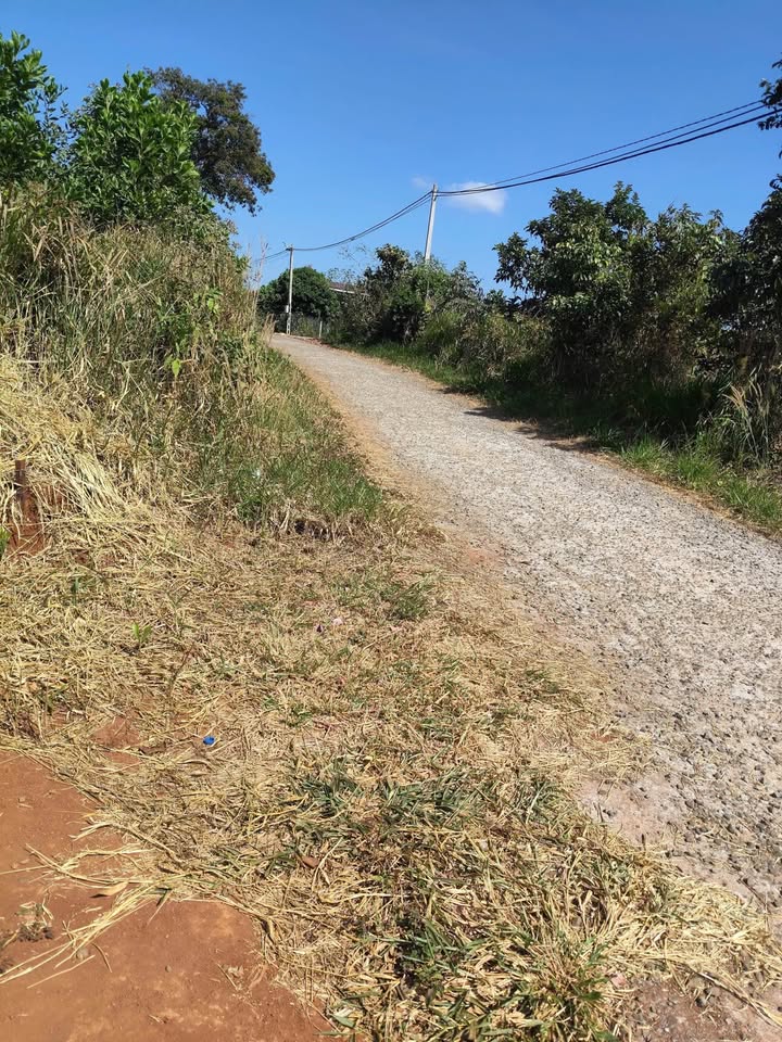 Đất nền Xã Đắk Nia, Gia Nghĩa 336m² giá 1.25 tỷ - Đầu tư sinh lời ngay!