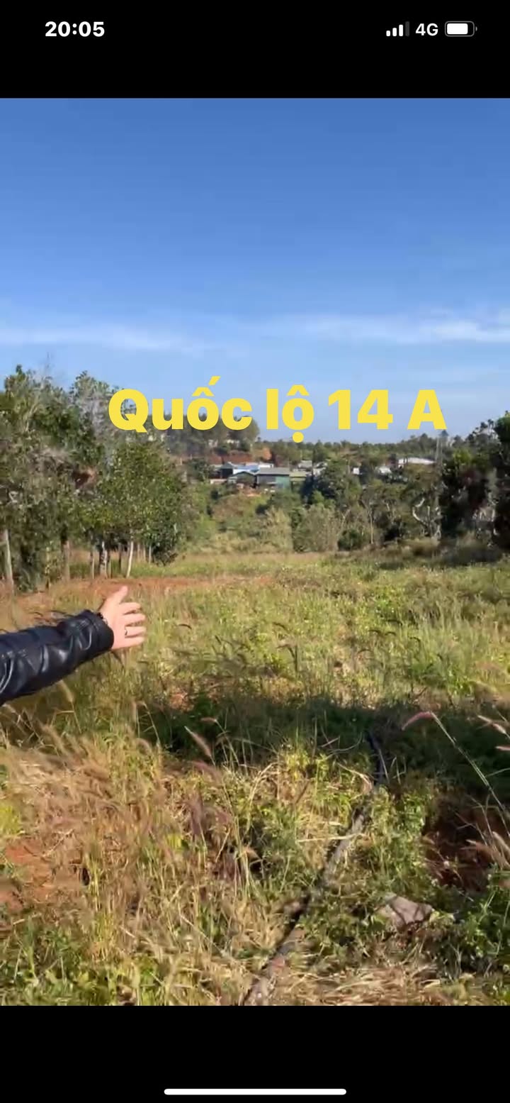 Đất nền Thị trấn Kiến Đức 4200m² giá 1.3 tỷ - Gần chợ trung tâm!