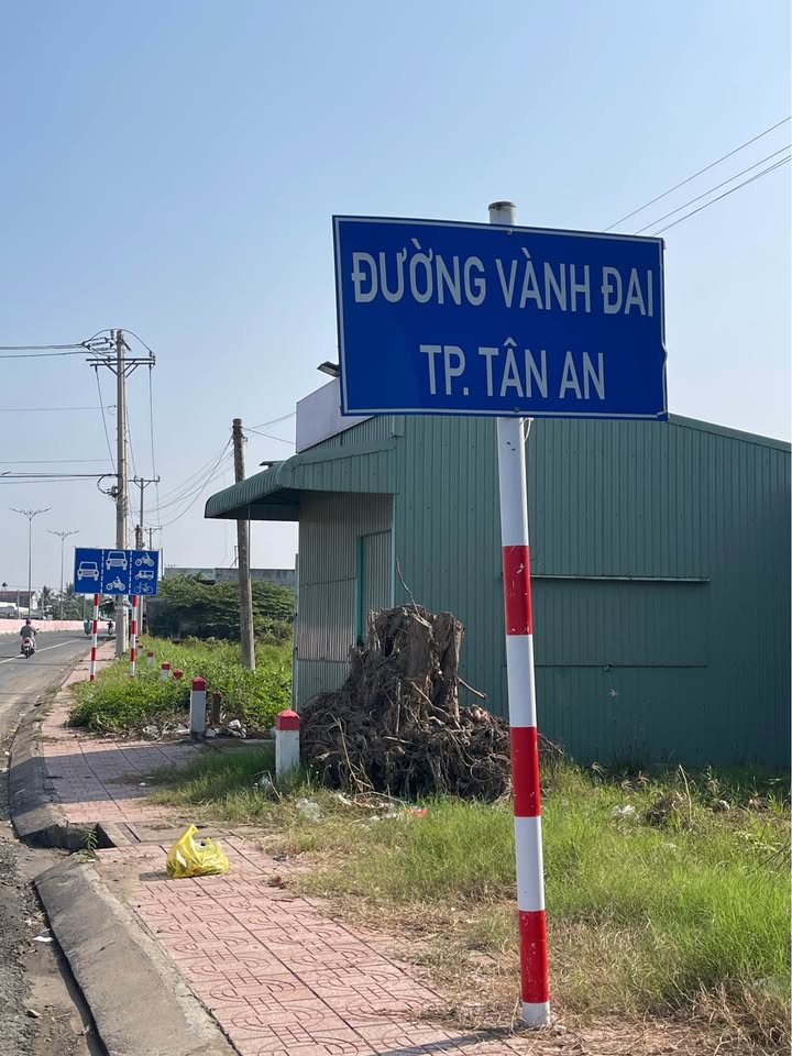 Đất nền 1234m² xã Mỹ Phú, Thủ Thừa - Đường Vành Đai Tân An - Sổ hồng chính chủ