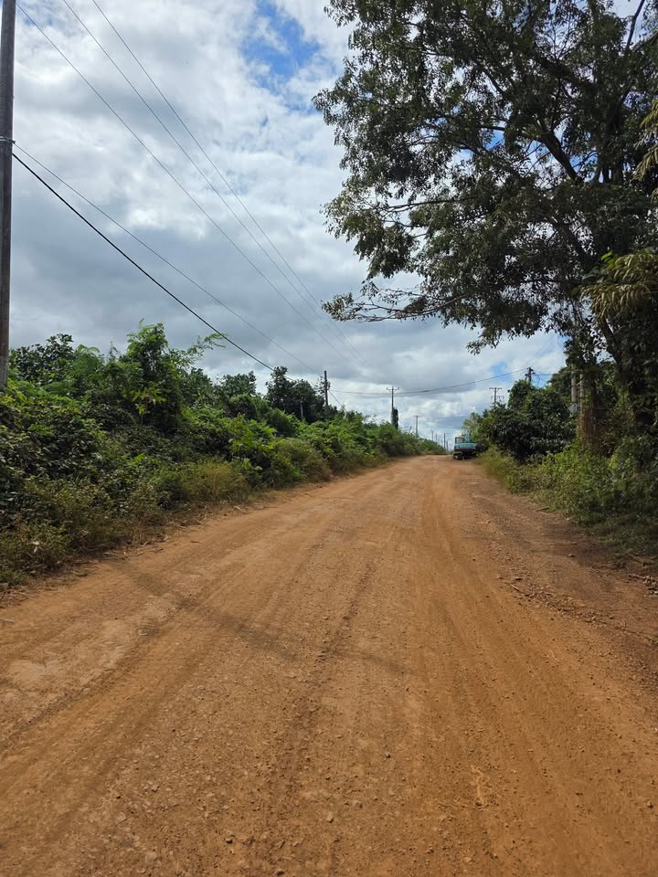 Đất vườn 1,3ha tại Làng Rinh, Chư Sê, Gia Lai - Giá chỉ 1.3 tỷ!