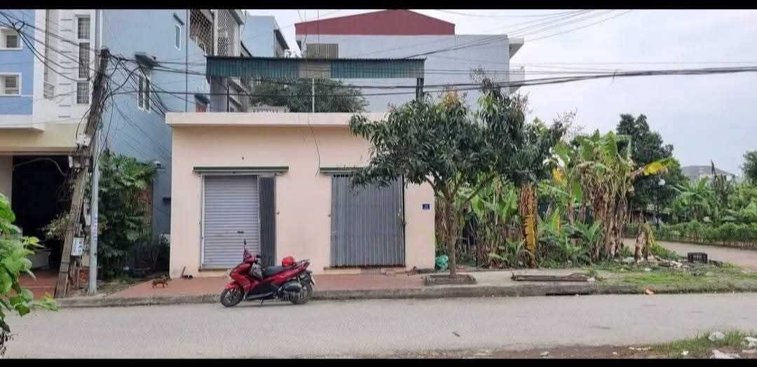 Đất Tại Phường Tân Bình, Hải Dương 73.54m² giá 5.35 tỷ - Cơ hội đầu tư sinh lời cao!