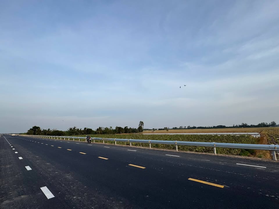 Đất nông nghiệp 7996m² tại Xã Châu Phong, An Giang - Giá 2.398 tỷ, Sổ hồng chính chủ!