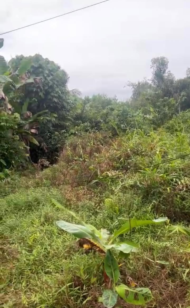 Đất nền 2198m² Phường Vị Tân, TP Cần Thơ - Giá chỉ 780 triệu, pháp lý rõ ràng!