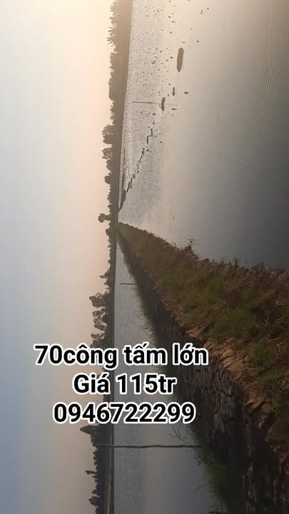 Đất Farm 70 công tại ấp Thành Phụng, Kiên Giang - Sổ hồng chính chủ, giá thương lượng
