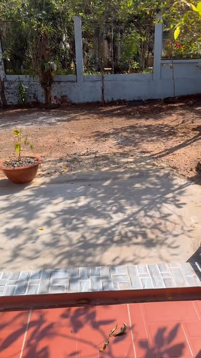 Đất thổ cư 1210m² tại xã Lộc Khánh, huyện Lộc Ninh - Khu kinh doanh sầm uất!