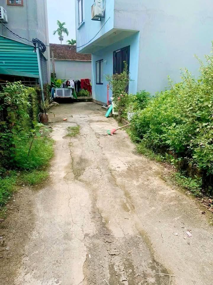 Đất nền Xóm Đầm - Vân Nội 42.8m² giá 2 tỷ - Đầu tư sinh lời ngay!