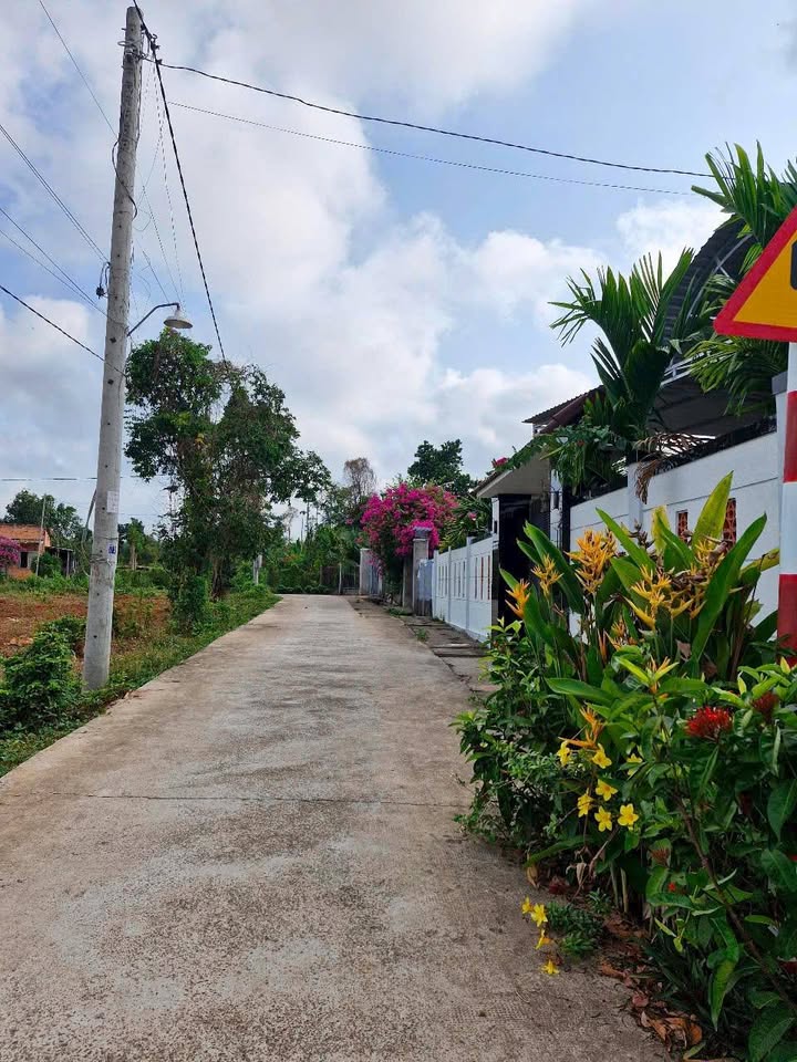 Đất Bàu Chinh, Châu Đức 3552m² giá 3.5 tỷ - Đầu tư sinh lời ngay!