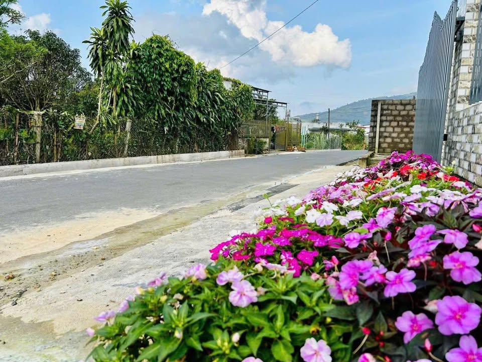 Nhà phố Lộc Phát, Bảo Lâm, 140m² giá 3.5 tỷ - Tiện nghi đầy đủ, gần chợ!