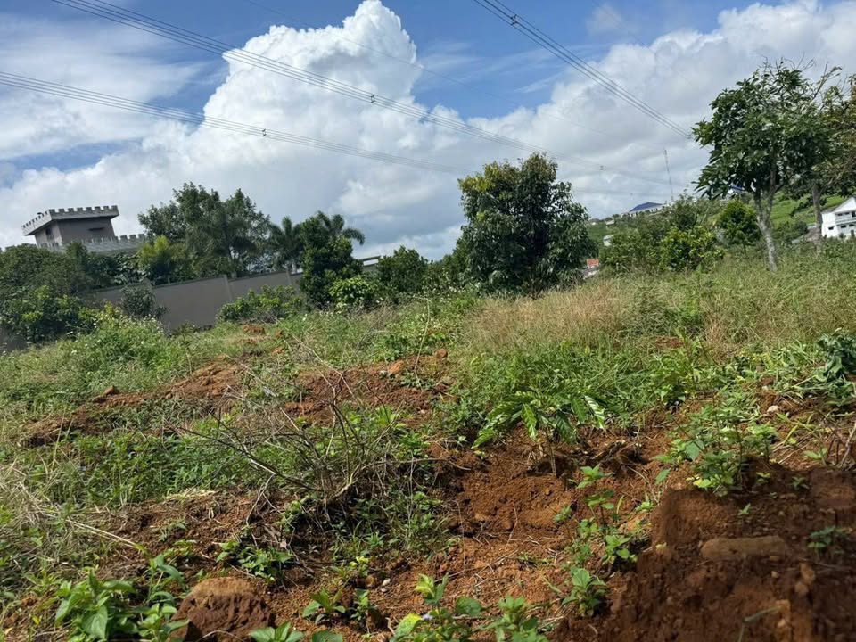 Đất nền Bảo Lộc 1500m² giá 1.6 tỷ - Đầu tư sinh lời với nhiều loại cây ăn trái