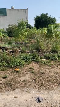 Đất nền chính chủ tại vườn thuốc Thanh Hà 124m² giá 1.9 tỷ - Vị trí đắc địa gần chợ và các tiện ích