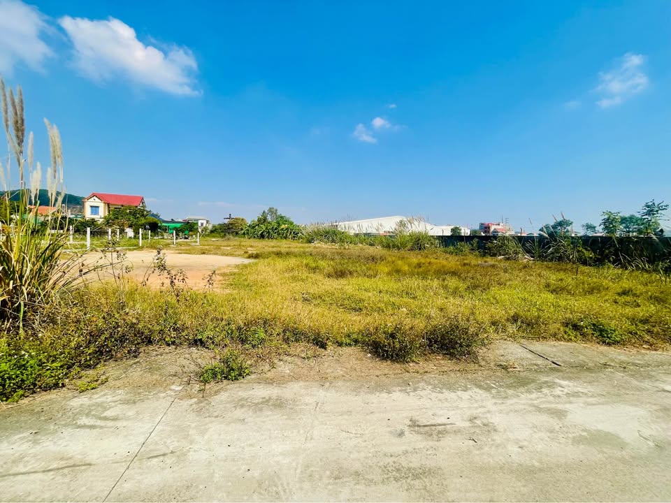 Đất nền thị trấn Hà Trung 175m² giá thỏa thuận - Cơ hội đầu tư hiếm có!