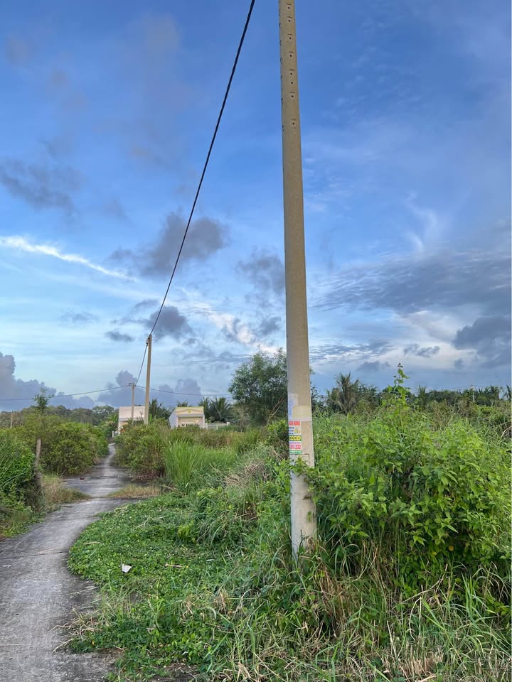 Đất Khu Kỳ La, Huyện Châu Thành, 226m² - Chính chủ bán, giá chỉ 850 triệu!