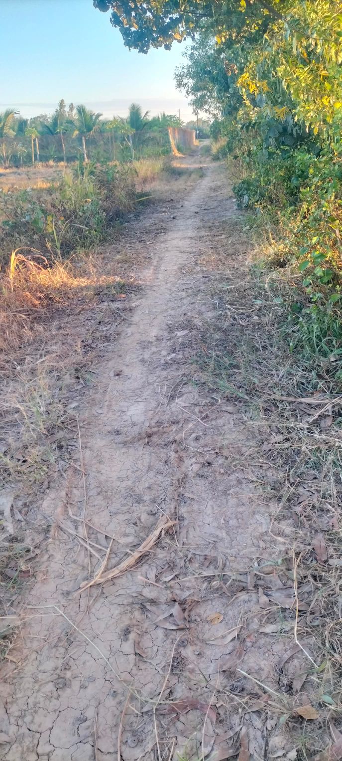 Đất Farm 3150m² Xã Đa Lộc, Châu Thành - Giá Chỉ 598.5 triệu - Đầu Tư Sinh Lời!