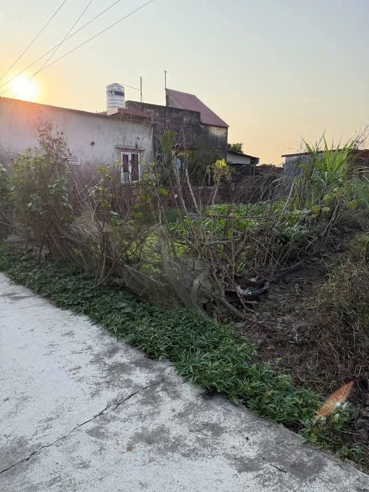 Đất nền chính chủ tại Xuyên Hử, Ninh Giang 133m² giá chỉ 800 triệu - Đầu tư lý tưởng!