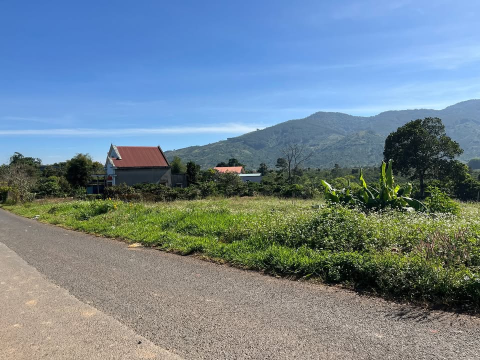 Đất nền 1860m² mặt đường chính xã Bảo Thuận - Giá chỉ 690 triệu