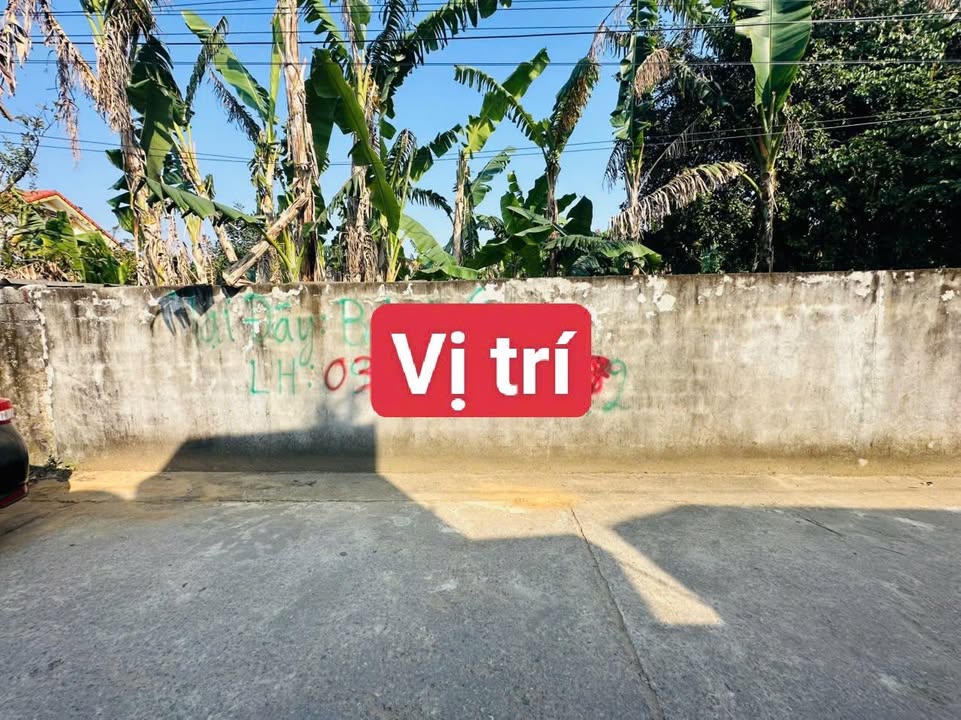 Lô đất Hoằng Đạo, Hoằng Hóa 120m² giá 1.000 triệu - Cơ hội vàng đầu tư!