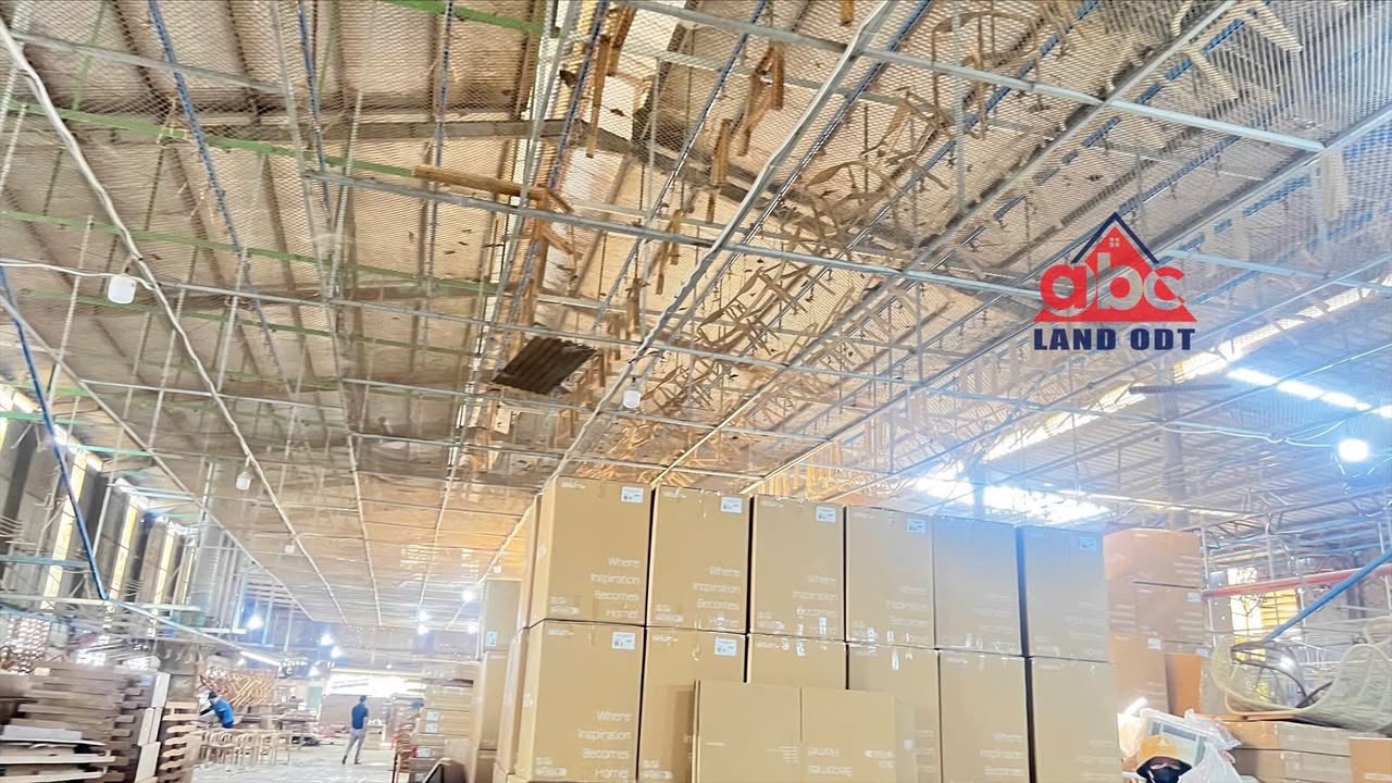 Nhà xưởng cho thuê 3000m² tại P. Tân Hòa, Biên Hòa - Không gian sản xuất lý tưởng!