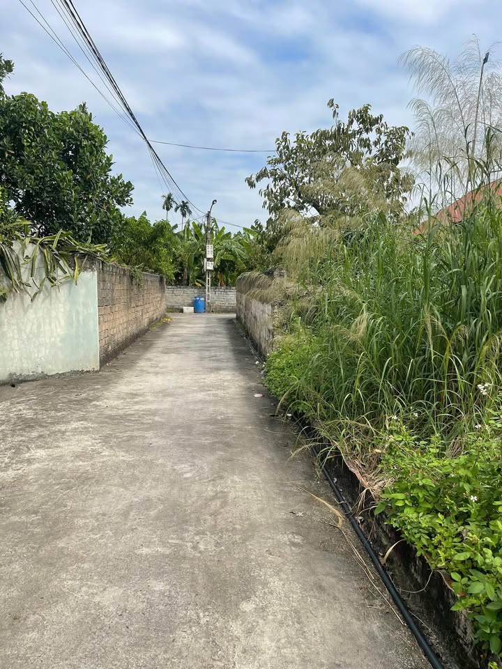 Đất nền đẹp TDP Quảng Thanh 4, phường Lê Ích, 70m² giá chỉ 800 triệu - Cơ hội đầu tư tốt!