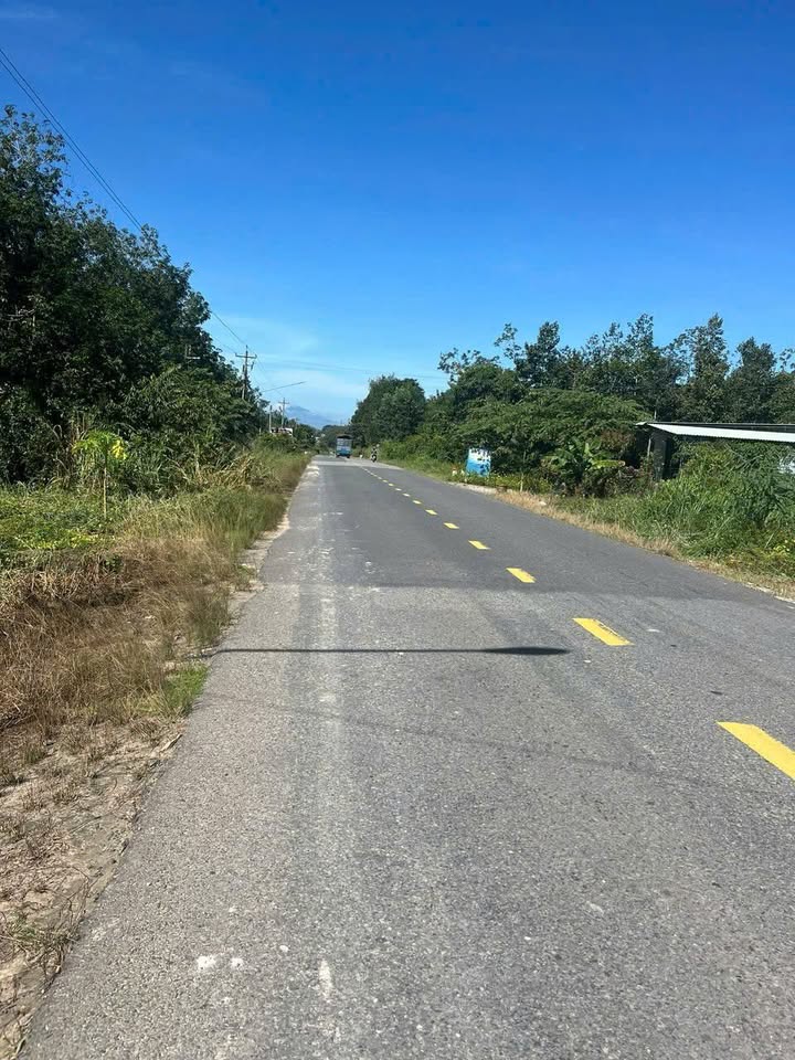 Đất SKC 5000m² mặt tiền ĐT 749 huyện Dầu Tiếng - Giá bán 11.6 tỷ, thương lượng ngay!