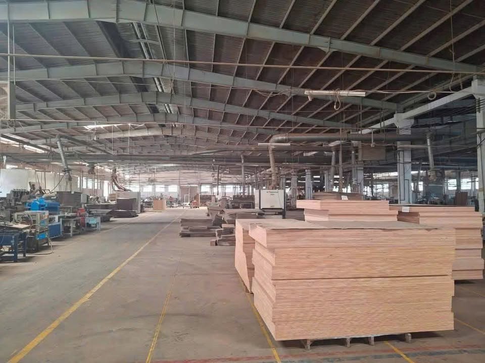 Cho thuê nhà xưởng 20.000m² KCN Nam Tân Uyên - Pháp lý hoàn chỉnh, giao ngay!